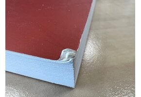 Beschadigd exemplaar - Worm