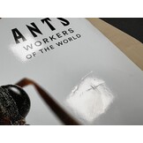 Beschadigd exemplaar - Ants - Workers of the World