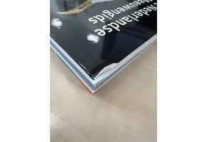 Beschadigd exemplaar - De Nederlandse Meeuwengids