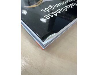 Beschadigd exemplaar - De Nederlandse Meeuwengids