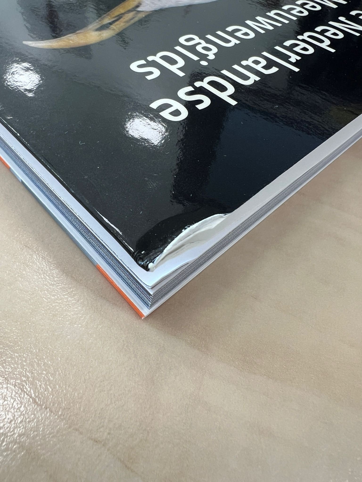 Damaged copy - De Nederlandse Meeuwengids