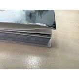 Damaged copy - De Nederlandse Meeuwengids