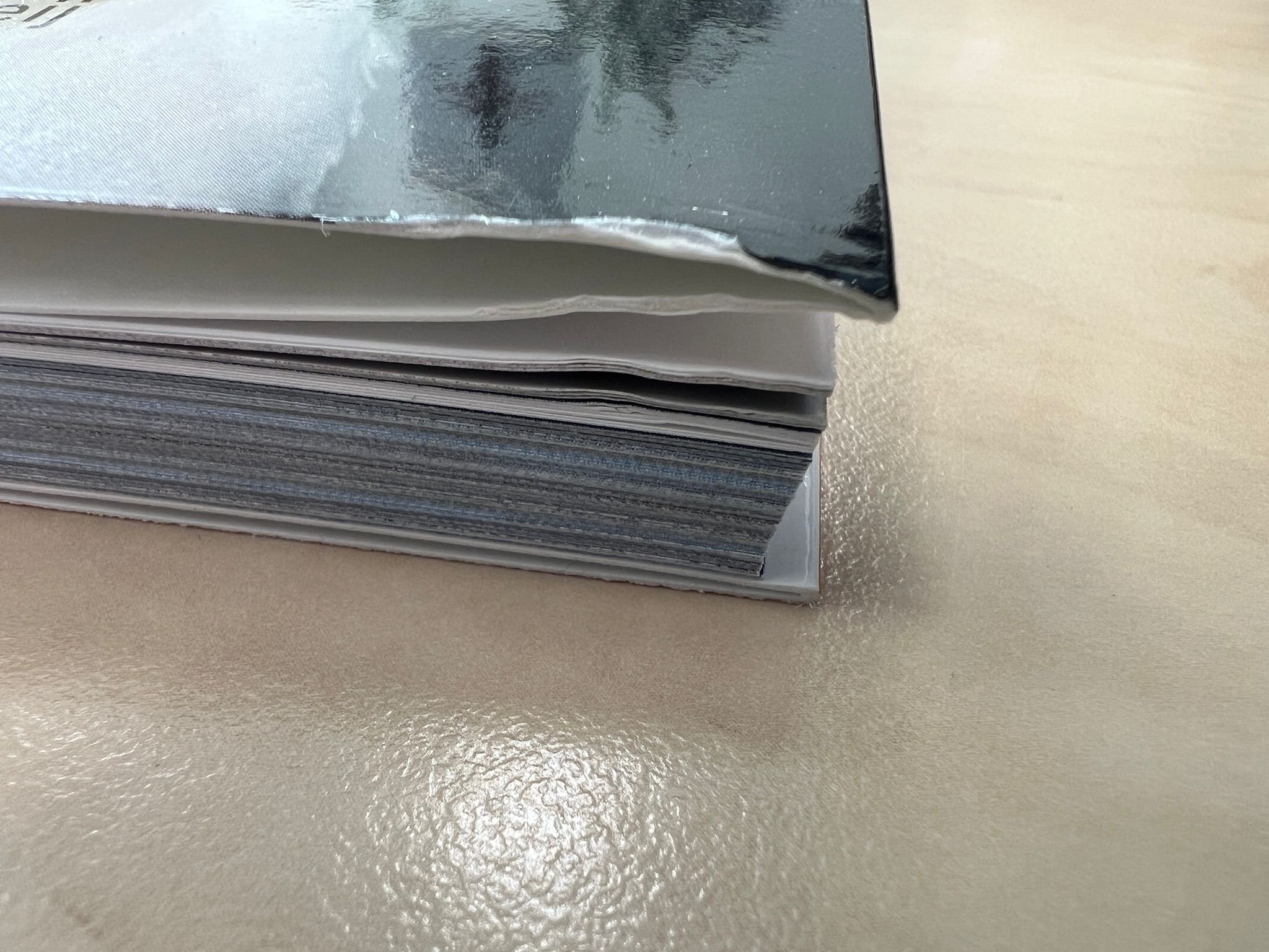 Damaged copy - De Nederlandse Meeuwengids