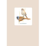 Vogels herkennen - 45 vogelportretten