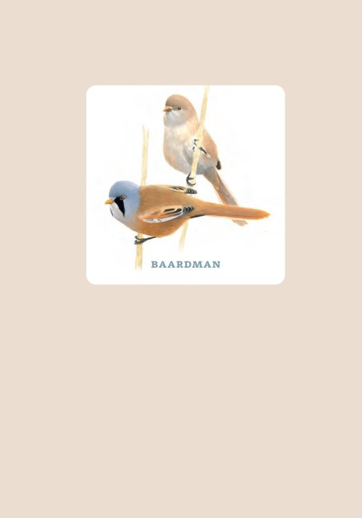 Vogels herkennen - 45 vogelportretten