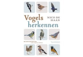 Vogels herkennen