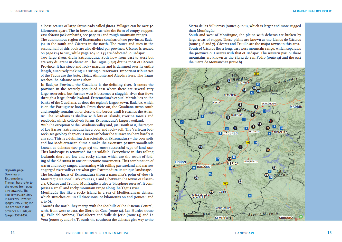 Crossbill Guide Extremadura - Spain