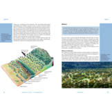 Crossbill Guide Extremadura - Spain