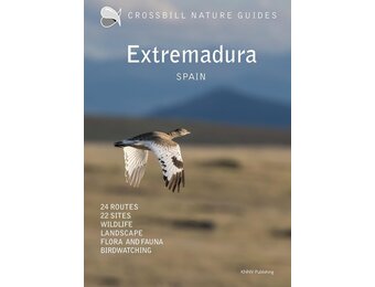 Crossbill Guide Extremadura