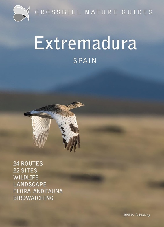 Crossbill Guide Extremadura - Spain