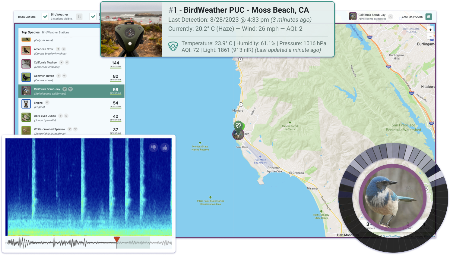 Tweedekans - BirdWeather PUC