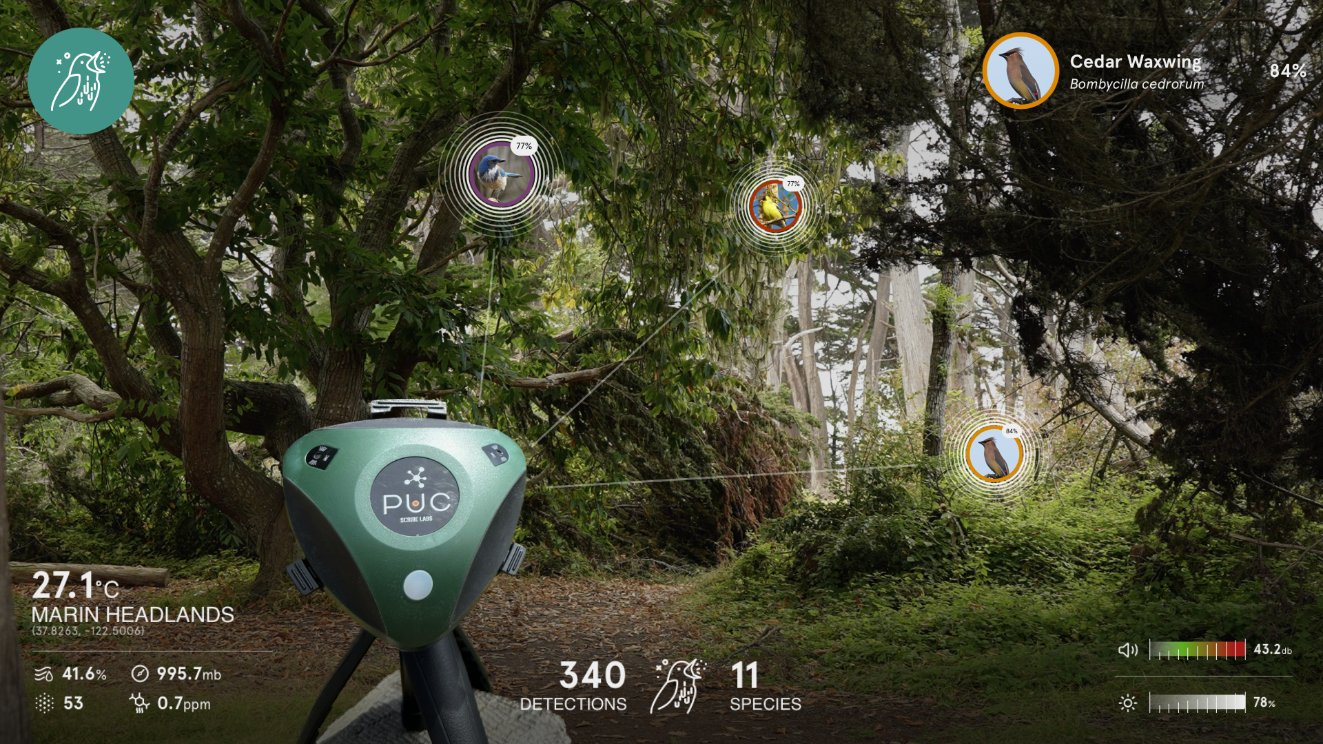 Second chance - BirdWeather PUC