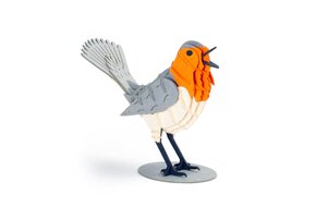 Kikkerland 3D Puzzel Robin