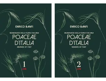 Poaceae d'Italia / Grasses of Italy