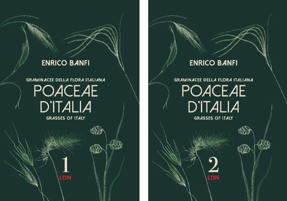 Poaceae d'Italia / Grasses of Italy - Graminacee della Flora Italiana (II volumi / 2-Volume Set)