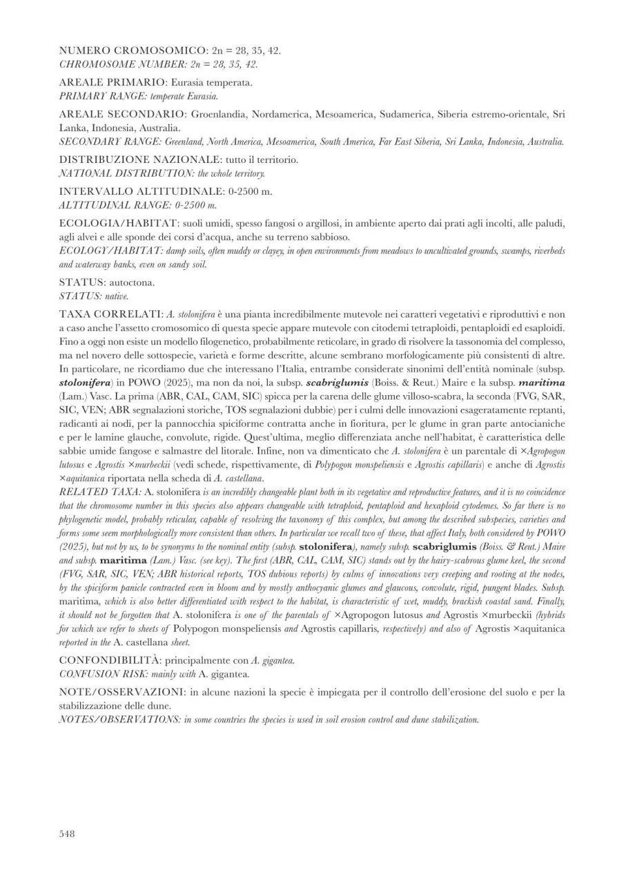 Poaceae d'Italia / Grasses of Italy - Graminacee della Flora Italiana (II volumi / 2-Volume Set)
