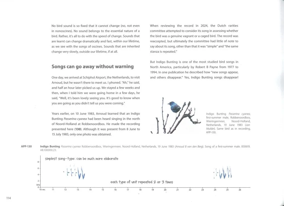 The Sound Approach to Birding - The ultimate guide to understanding bird sound