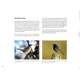 The Sound Approach to Birding - The ultimate guide to understanding bird sound