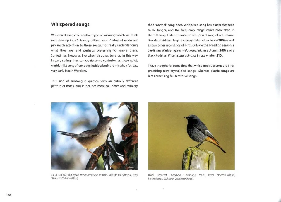 The Sound Approach to Birding - The ultimate guide to understanding bird sound