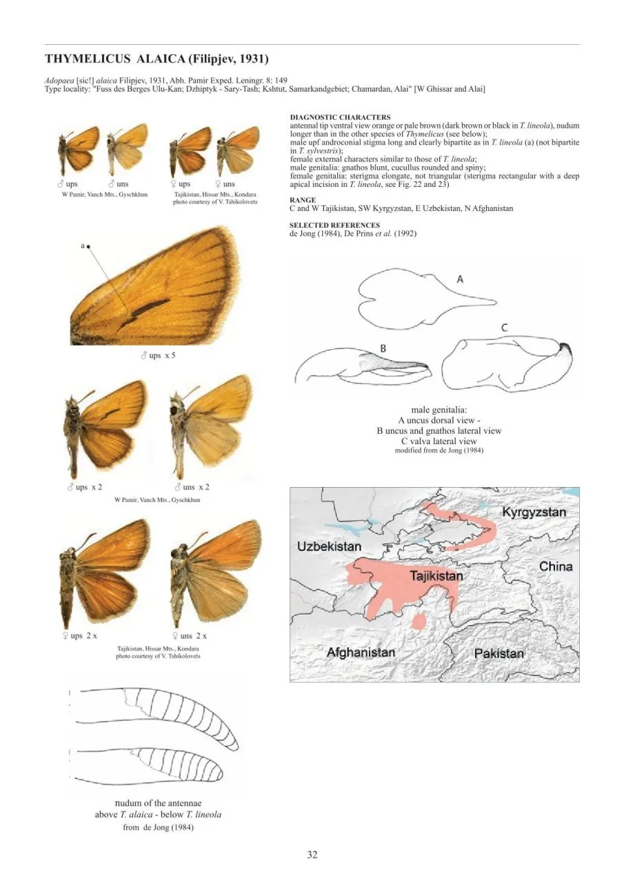 Guide to the Butterflies of the Palearctic Region - Hesperiidae part II