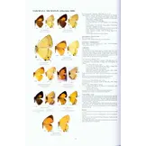Guide to the Butterflies of the Palearctic Region - Lycaenidae part III