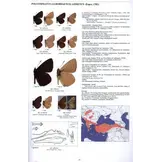 Guide to the Butterflies of the Palearctic Region - Lycaenidae part IV