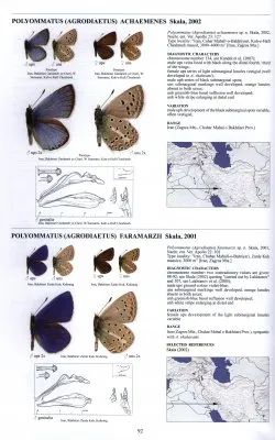Guide to the Butterflies of the Palearctic Region - Lycaenidae part IV