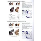 Guide to the Butterflies of the Palearctic Region - Lycaenidae part IV