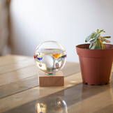 Kikkerland Galileo-Thermometer