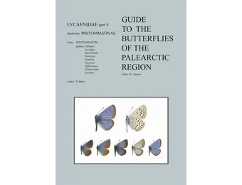 Guide to the Butterflies of the Palearctic Region - Lycaenidae part V