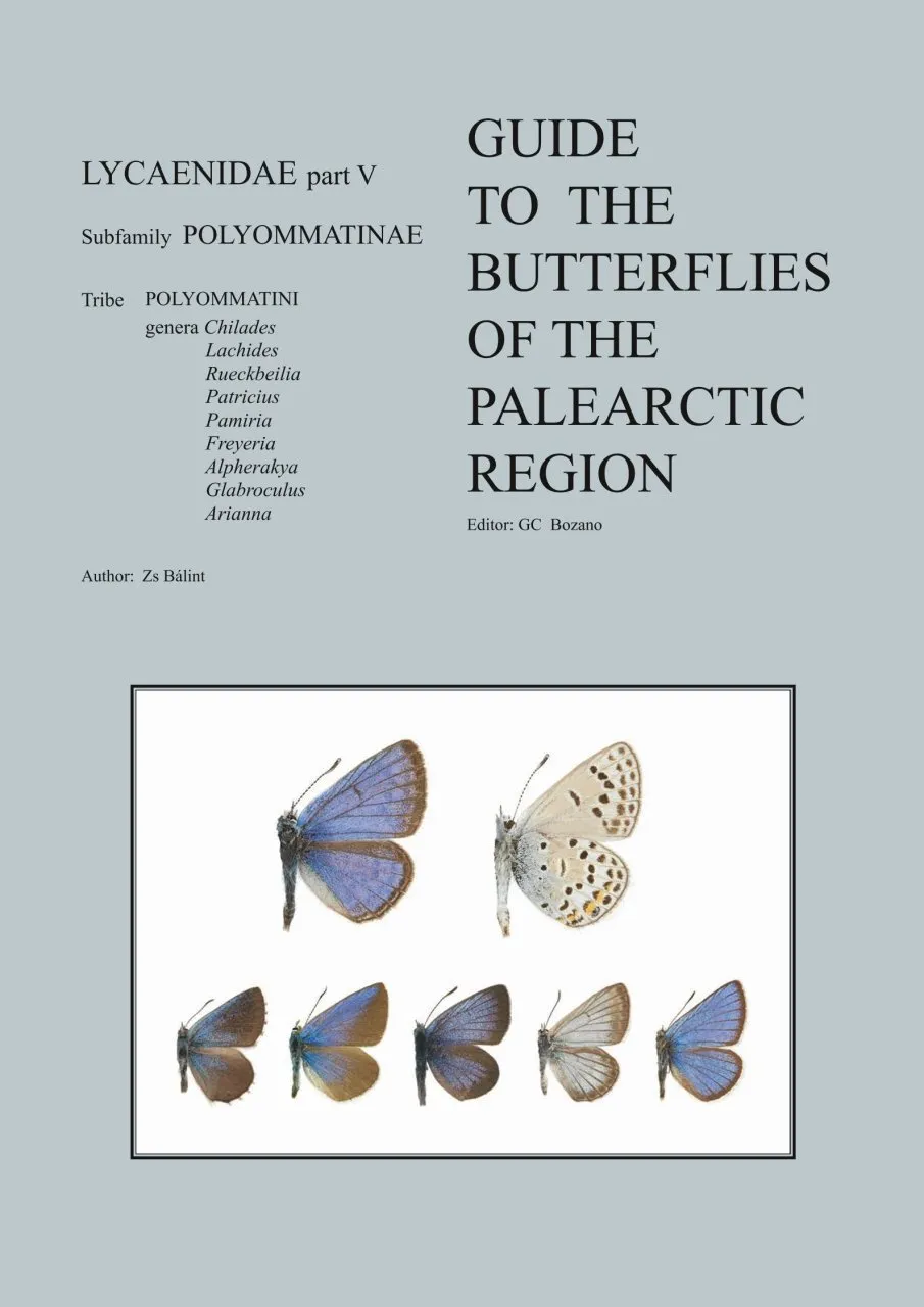 Guide to the Butterflies of the Palearctic Region - Lycaenidae part V
