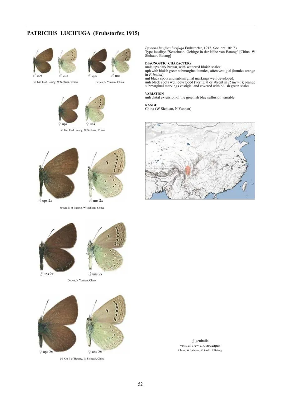 Guide to the Butterflies of the Palearctic Region - Lycaenidae part V