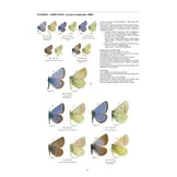 Guide to the Butterflies of the Palearctic Region - Lycaenidae part V