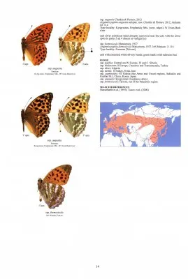 Guide to the Butterflies of the Palearctic Region - Nymphalidae part I