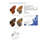 Guide to the Butterflies of the Palearctic Region - Nymphalidae part I