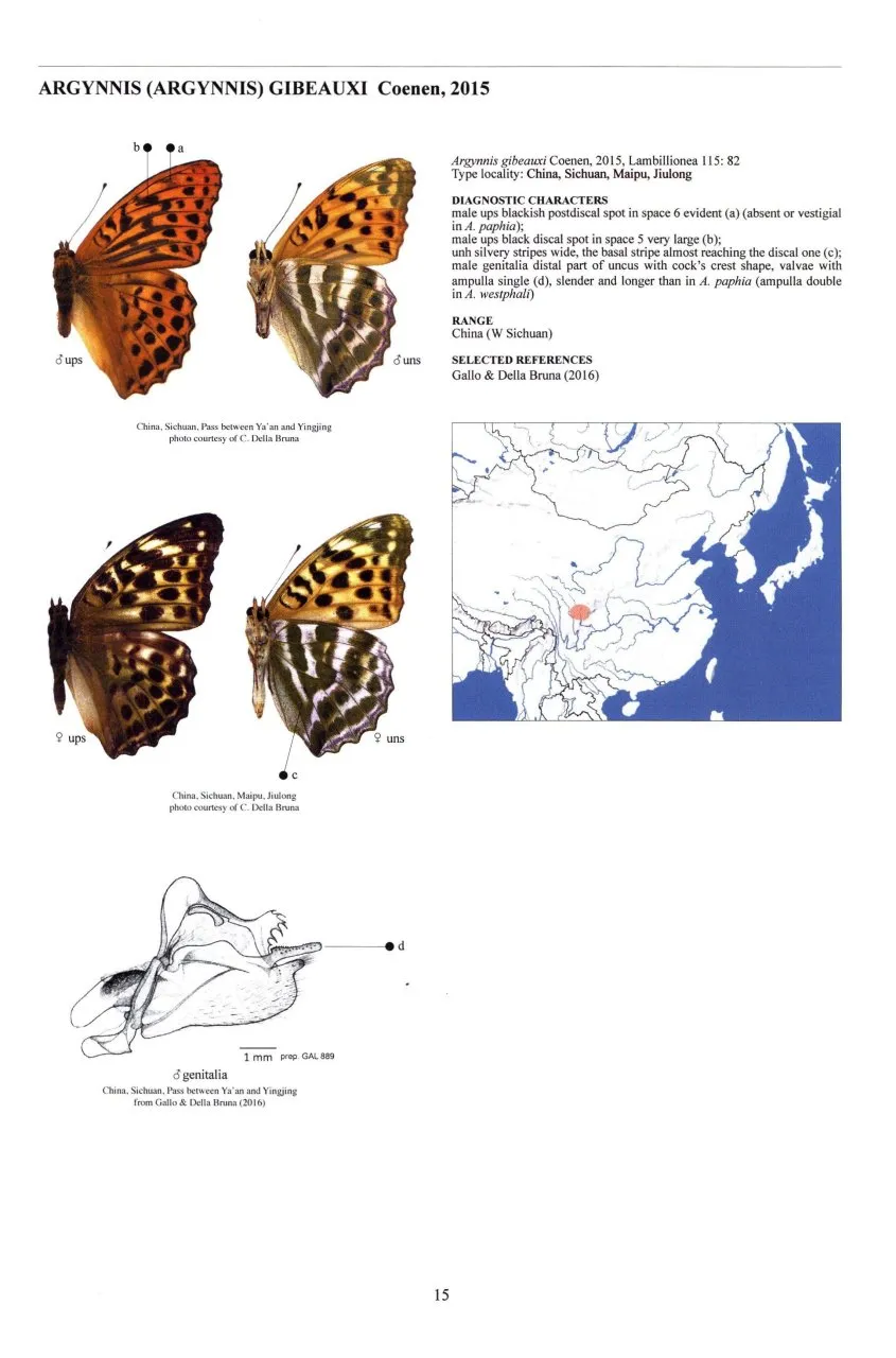 Guide to the Butterflies of the Palearctic Region - Nymphalidae part I