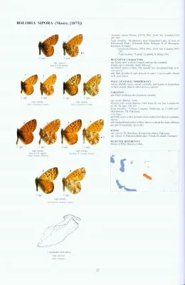 Guide to the Butterflies of the Palearctic Region - Nymphalidae part II