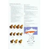 Guide to the Butterflies of the Palearctic Region - Nymphalidae part II