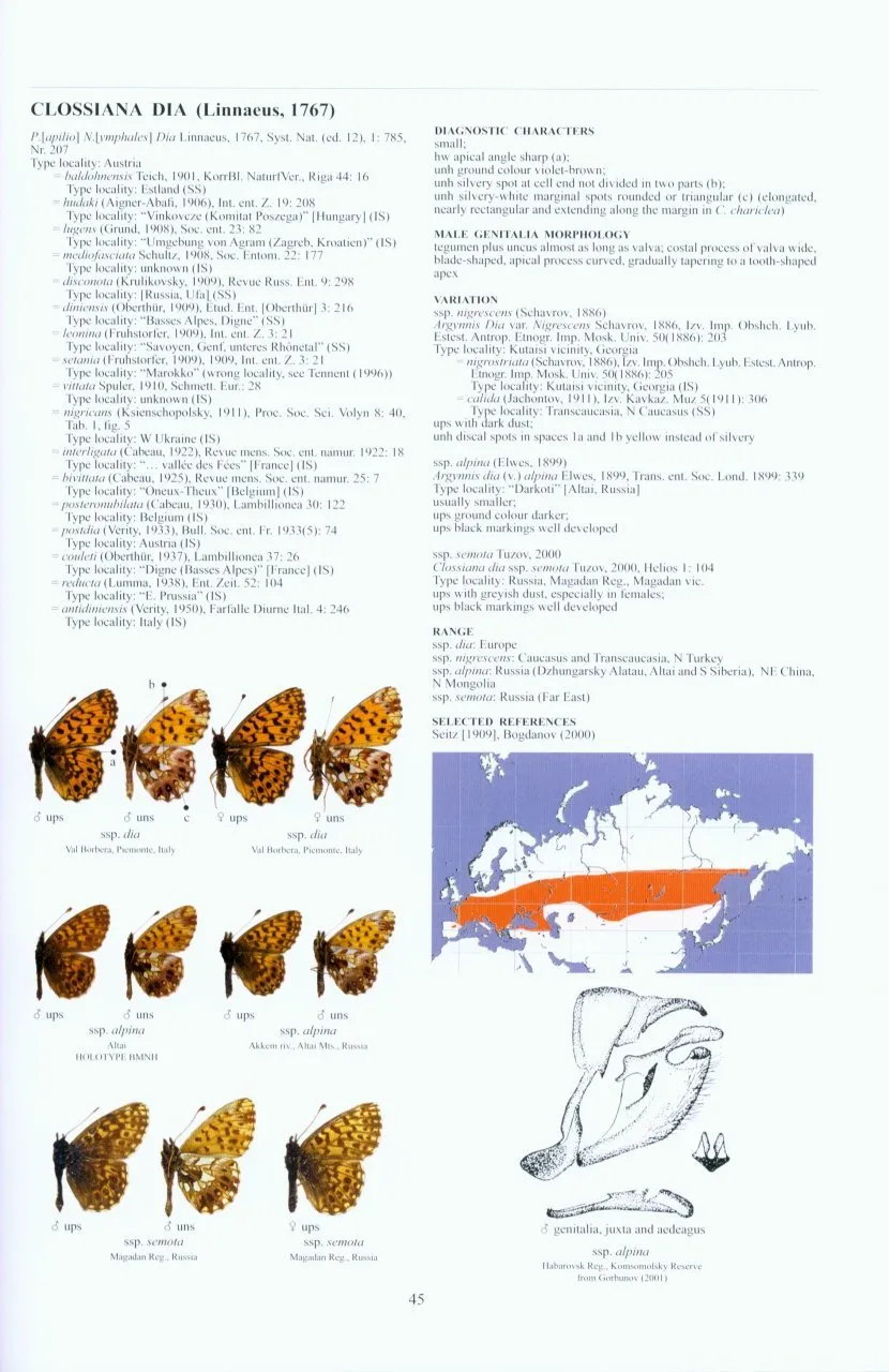 Guide to the Butterflies of the Palearctic Region - Nymphalidae part II