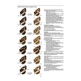 Guide to the Butterflies of the Palearctic Region - Nymphalidae part III