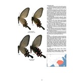 Guide to the Butterflies of the Palearctic Region - Papilionidae part II
