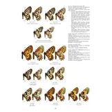 Guide to the Butterflies of the Palearctic Region - Papilionidae part III