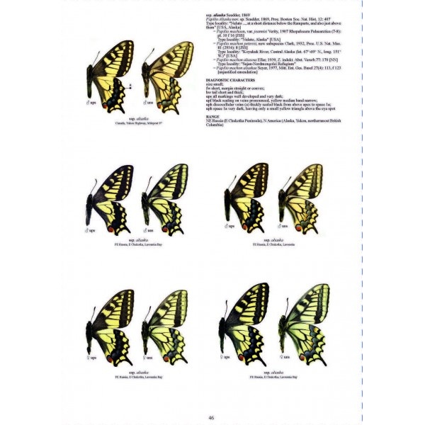 Guide to the Butterflies of the Palearctic Region - Papilionidae part IV