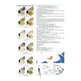 Guide to the Butterflies of the Palearctic Region - Pieridae part I - second edition