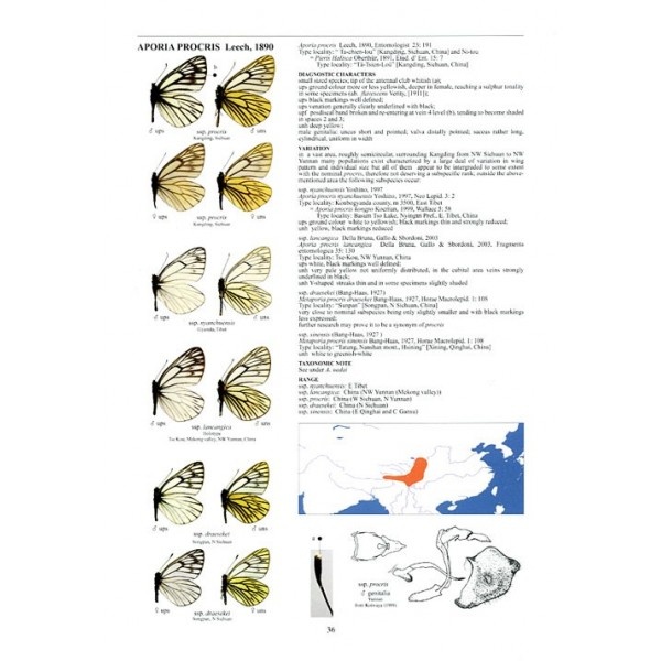 Guide to the Butterflies of the Palearctic Region - Pieridae part I - second edition