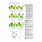 Guide to the Butterflies of the Palearctic Region - Pieridae part II