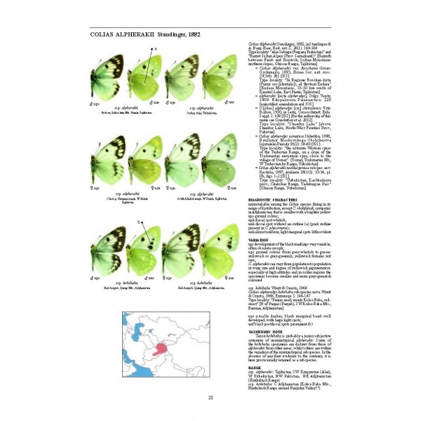 Guide to the Butterflies of the Palearctic Region - Pieridae part II