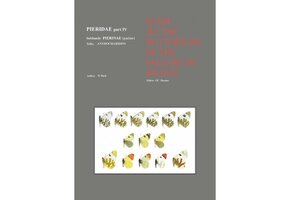 Guide to the Butterflies of the Palearctic Region - Pieridae part IV