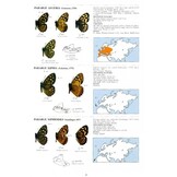 Guide to the Butterflies of the Palearctic Region - Satyrinae part I