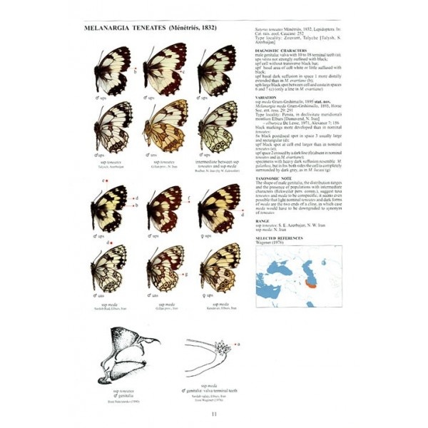 Guide to the Butterflies of the Palearctic Region - Satyrinae part III